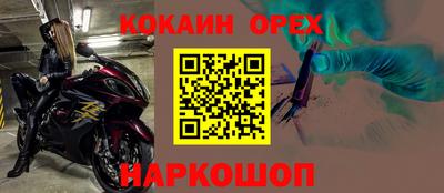 винт Тара