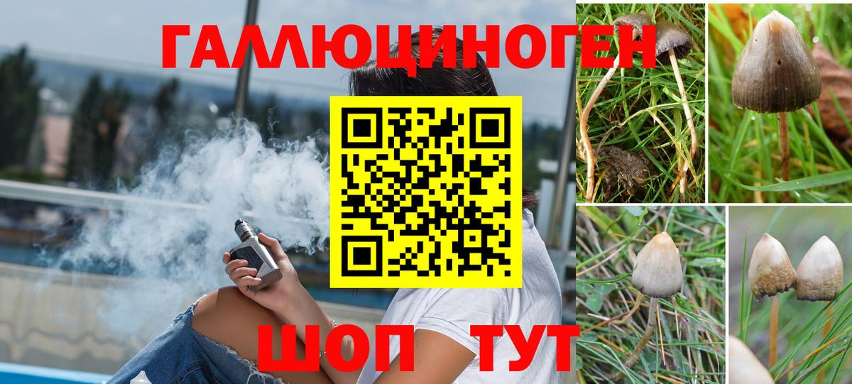 Псилоцибиновые грибы Cubensis Новоуральск