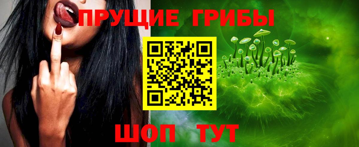 Псилоцибиновые грибы Psilocybine cubensis  Вход с VPN  Новоуральск 